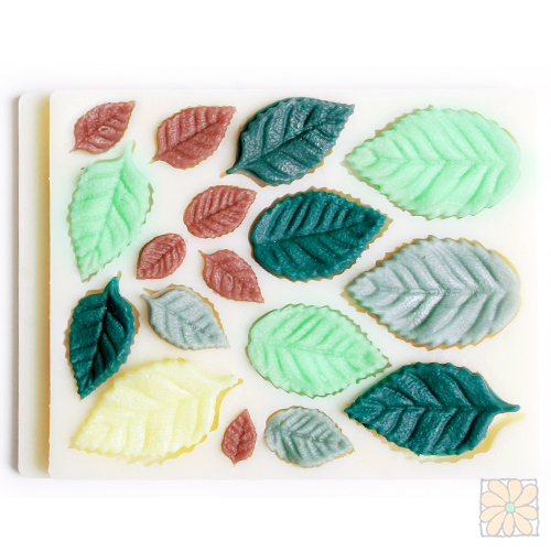 ��ǰ ������